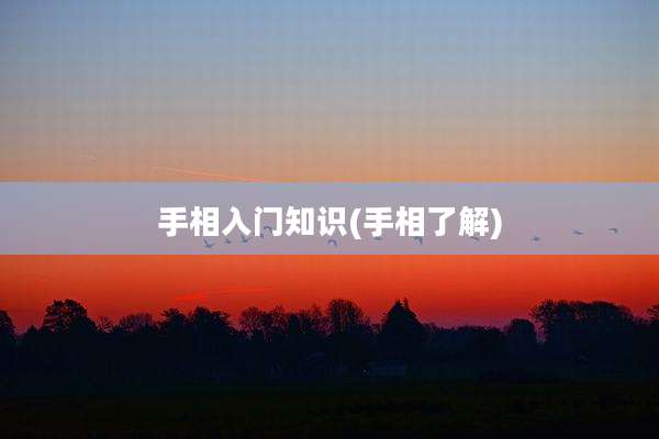 手相入门知识(手相了解)
