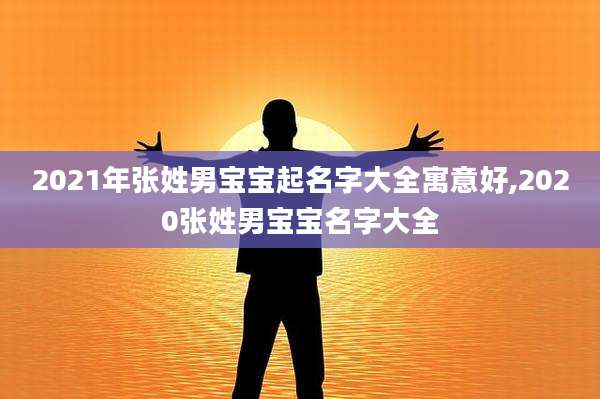 2021年张姓男宝宝起名字大全寓意好,2020张姓男宝宝名字大全
