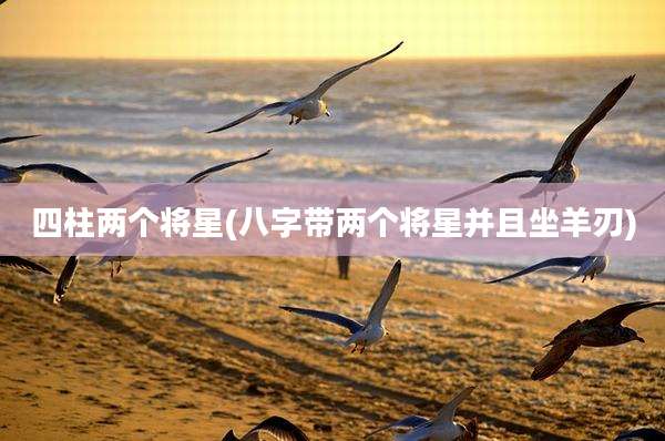 四柱两个将星(八字带两个将星并且坐羊刃)