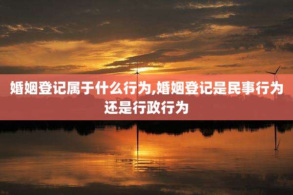 婚姻登记属于什么行为,婚姻登记是民事行为还是行政行为