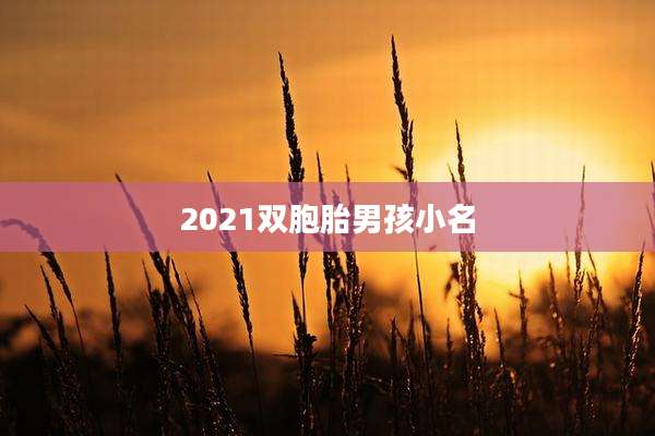 2021双胞胎男孩小名