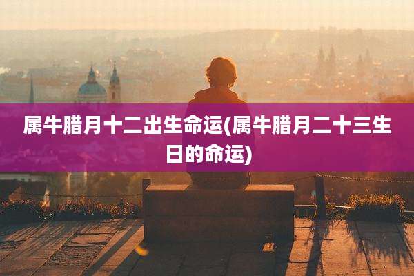 属牛腊月十二出生命运(属牛腊月二十三生日的命运)