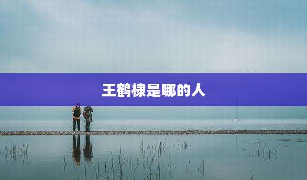 王鹤棣是哪的人