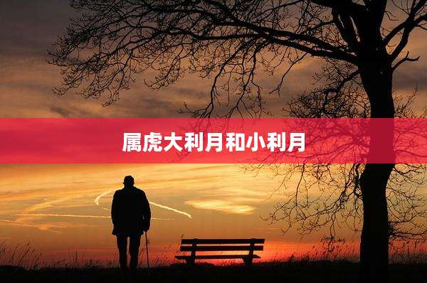 属虎大利月和小利月