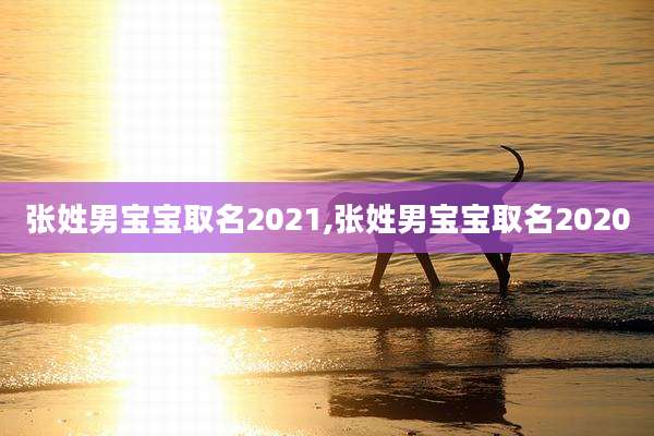 张姓男宝宝取名2021,张姓男宝宝取名2020