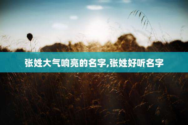 张姓大气响亮的名字,张姓好听名字