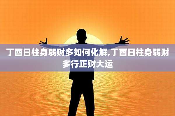 丁酉日柱身弱财多如何化解,丁酉日柱身弱财多行正财大运