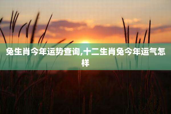 兔生肖今年运势查询,十二生肖兔今年运气怎样