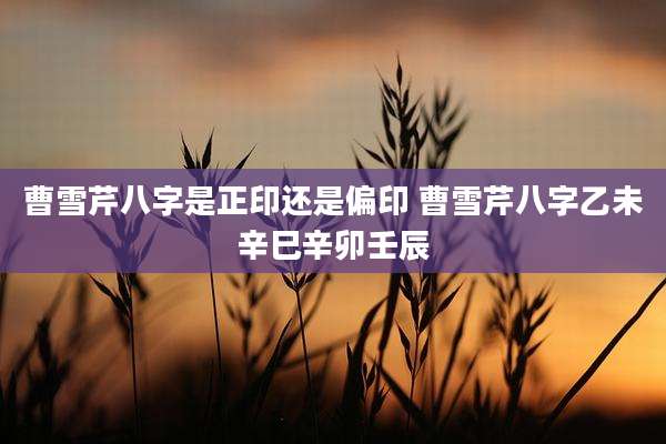 曹雪芹八字是正印还是偏印 曹雪芹八字乙未辛巳辛卯壬辰