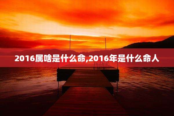 2016属啥是什么命,2016年是什么命人