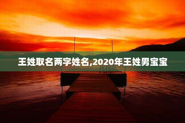 王姓取名两字姓名,2020年王姓男宝宝