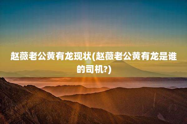 赵薇老公黄有龙现状(赵薇老公黄有龙是谁的司机?)