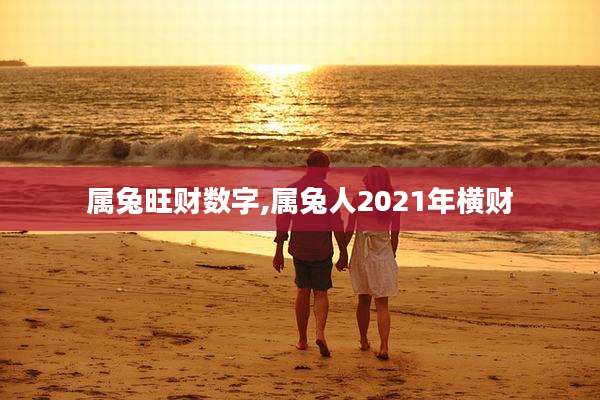 属兔旺财数字,属兔人2021年横财