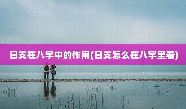 日支在八字中的作用(日支怎么在八字里看)