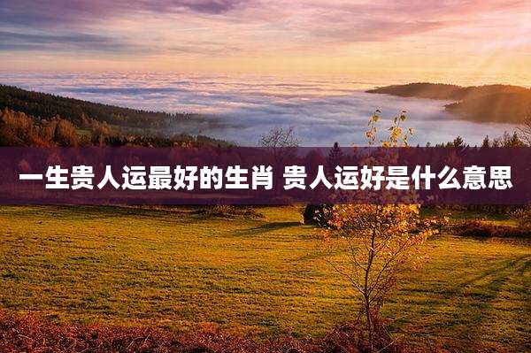 一生贵人运最好的生肖 贵人运好是什么意思