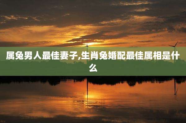 属兔男人最佳妻子,生肖兔婚配最佳属相是什么