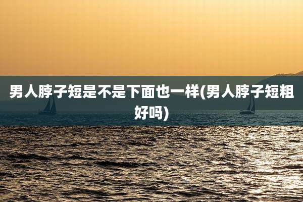 男人脖子短是不是下面也一样(男人脖子短粗好吗)