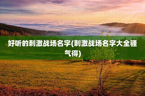好听的刺激战场名字(刺激战场名字大全骚气得)