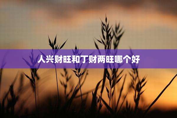 人兴财旺和丁财两旺哪个好