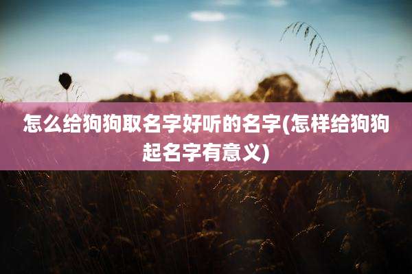怎么给狗狗取名字好听的名字(怎样给狗狗起名字有意义)