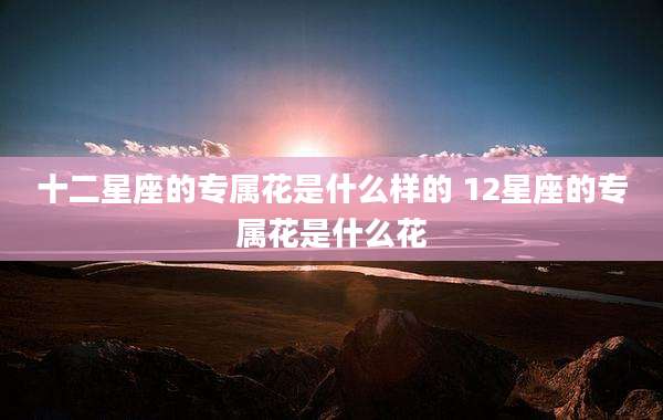 十二星座的专属花是什么样的 12星座的专属花是什么花