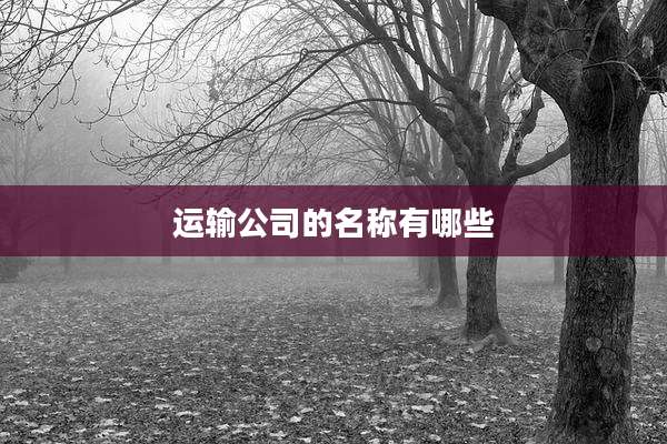 运输公司的名称有哪些