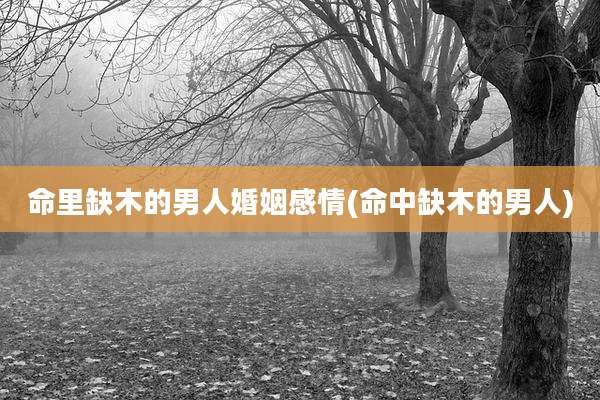 命里缺木的男人婚姻感情(命中缺木的男人)