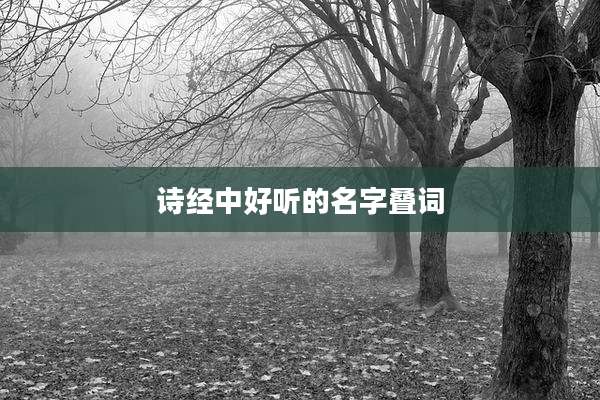 诗经中好听的名字叠词