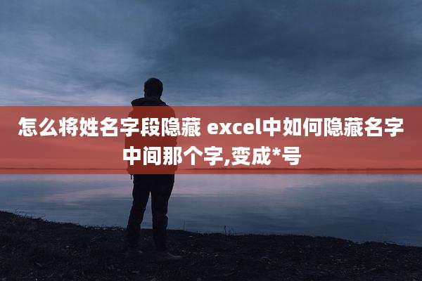 怎么将姓名字段隐藏 excel中如何隐藏名字中间那个字,变成*号
