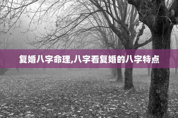 复婚八字命理,八字看复婚的八字特点
