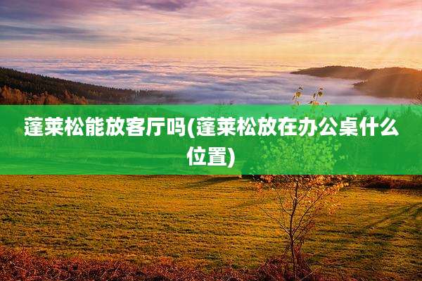 蓬莱松能放客厅吗(蓬莱松放在办公桌什么位置)