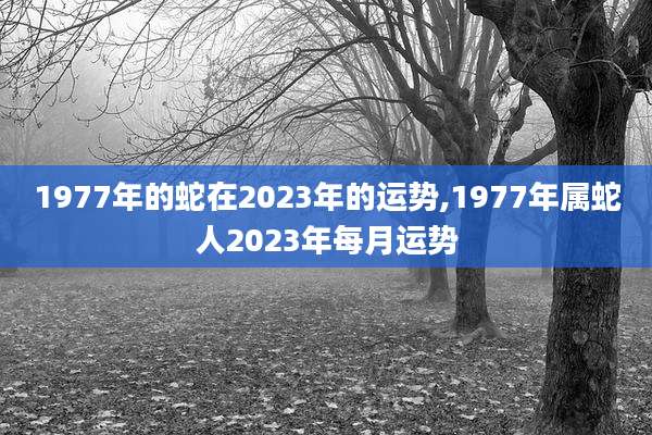 1977年的蛇在2023年的运势,1977年属蛇人2023年每月运势