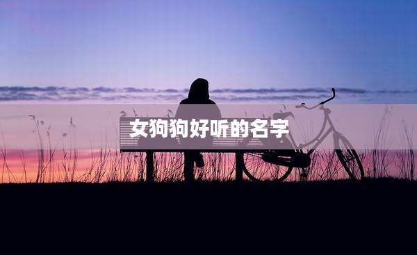 女狗狗好听的名字