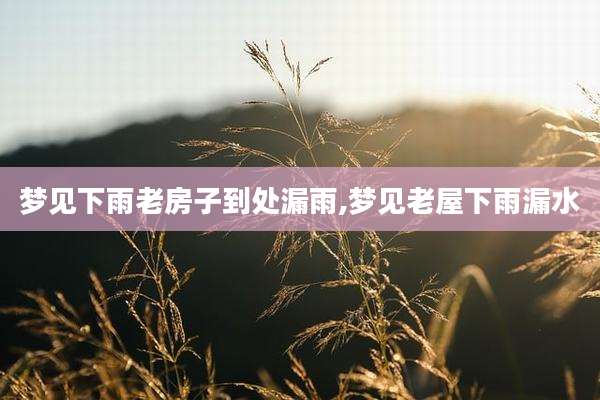 梦见下雨老房子到处漏雨,梦见老屋下雨漏水