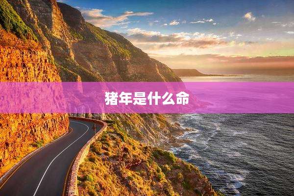 猪年是什么命