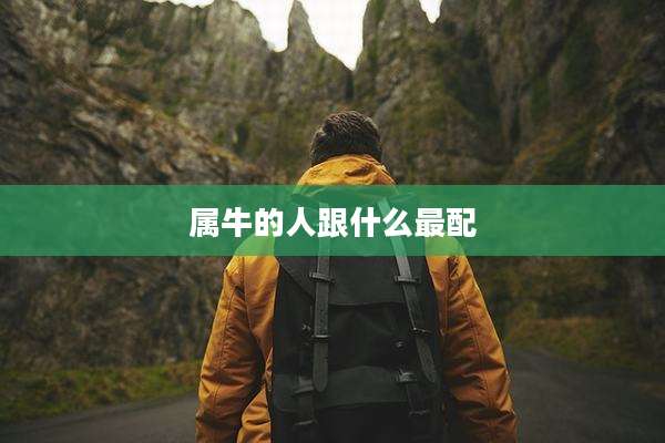 属牛的人跟什么最配