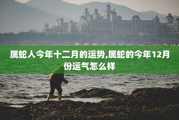 属蛇人今年十二月的运势,属蛇的今年12月份运气怎么样