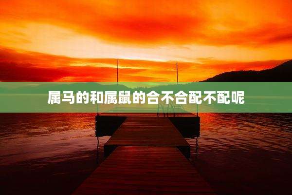 属马的和属鼠的合不合配不配呢