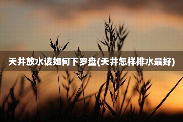 天井放水该如何下罗盘(天井怎样排水最好)