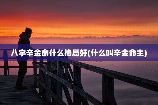 八字辛金命什么格局好(什么叫辛金命主)
