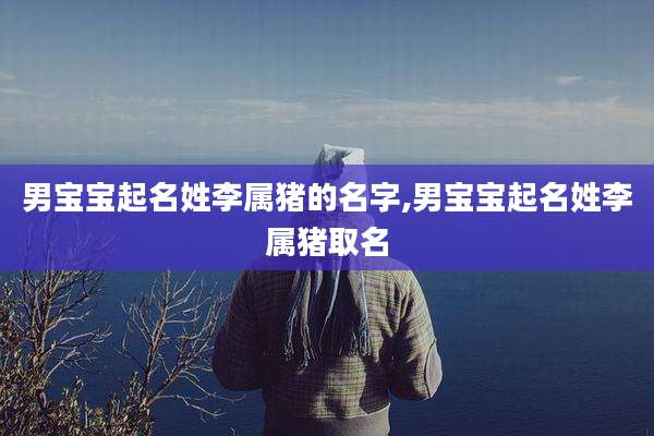 男宝宝起名姓李属猪的名字,男宝宝起名姓李属猪取名