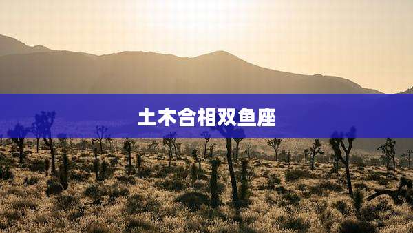 土木合相双鱼座