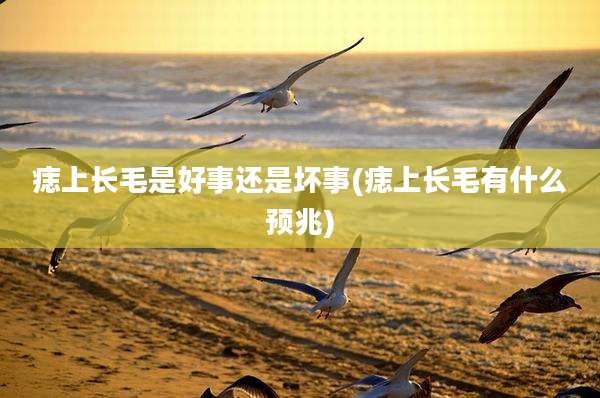 痣上长毛是好事还是坏事(痣上长毛有什么预兆)
