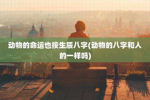 动物的命运也按生辰八字(动物的八字和人的一样吗)