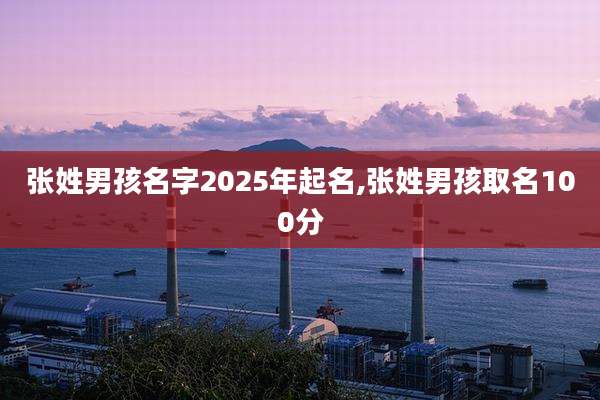 张姓男孩名字2025年起名,张姓男孩取名100分