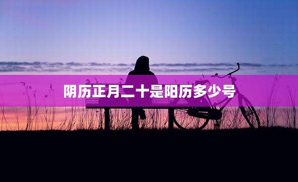 阴历正月二十是阳历多少号