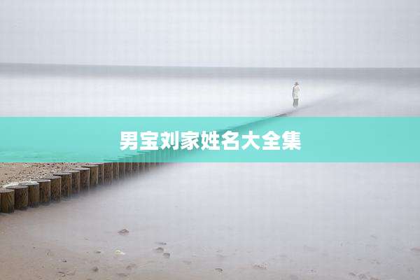 男宝刘家姓名大全集