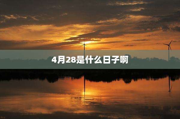 4月28是什么日子啊