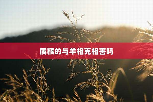 属猴的与羊相克相害吗