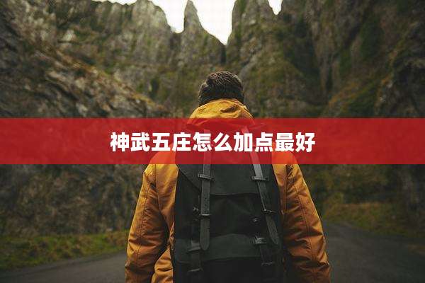 神武五庄怎么加点最好